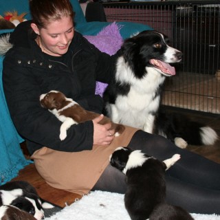Mikky with puppies