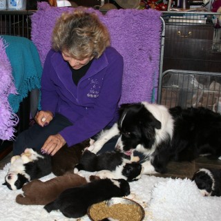 Barbara and Puppies