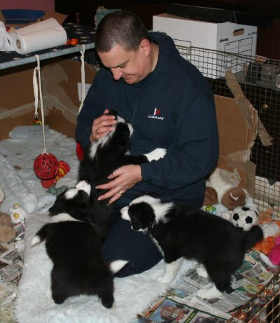 Paul playing with the Puppies